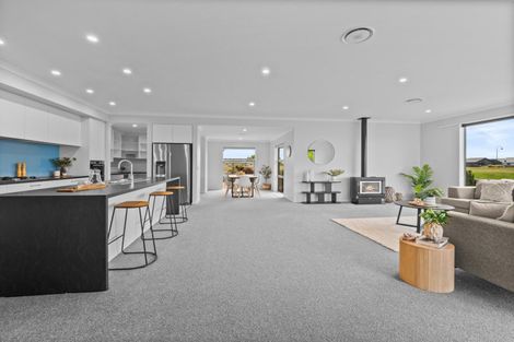 Photo of property in 61 Ludlow Drive, Huntingdon, Ashburton, 7774