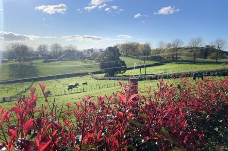 Photo of property in 734 Mangaorongo Road, Otorohanga, 3972