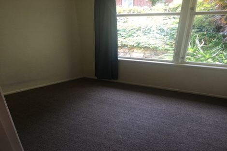 Photo of property in 28b Alison Street, Hamilton Lake, Hamilton, 3204