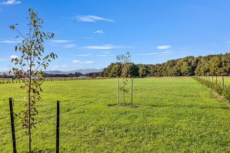 Photo of property in 35 Woven Stone Way, Ohau, 5570