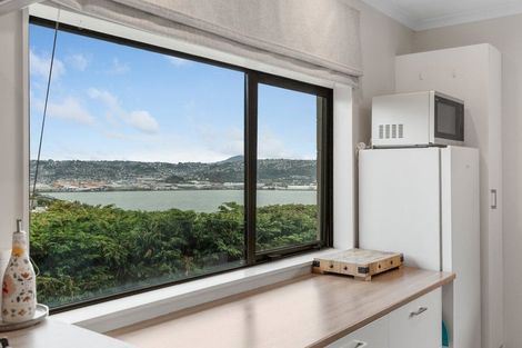 Photo of property in 40 Shandon Road, Vauxhall, Dunedin, 9013