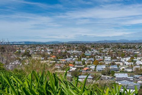 Photo of property in 20 Havelock Road, Hospital Hill, Napier, 4110