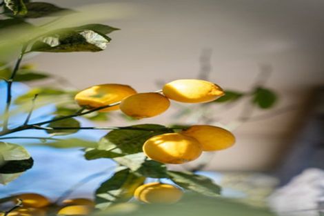 Photo of property in 2/43 Breens Road, Bishopdale, Christchurch, 8051