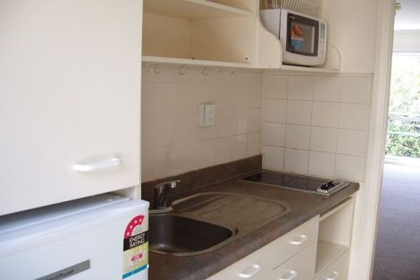 Photo of property in Avon Apartments, 11/313u The Terrace, Te Aro, Wellington, 6011