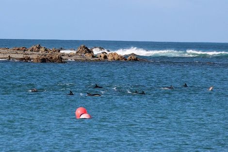 Photo of property in 20u3 Trent Street, Island Bay, Wellington, 6023