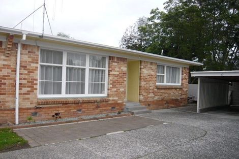 Photo of property in 141c Galloway Street, Hamilton East, Hamilton, 3216