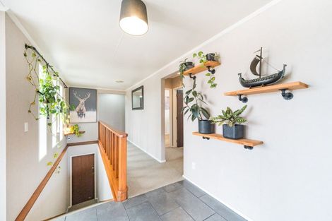 Photo of property in 50 Pitama Road, Awapuni, Palmerston North, 4412