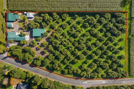 Photo of property in 204a No 2 Road, Te Puke, 3182