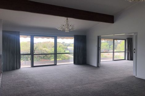Photo of property in 214 Peacockes Road, Fitzroy, Hamilton, 3282