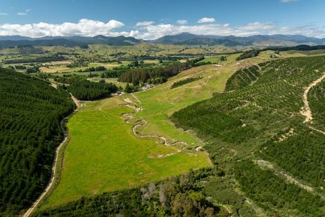 Photo of property in 96 Sunridge Park Road, Morrinsville, 3375