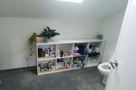 Photo of property in 103 Rattray Street, Riccarton, Christchurch, 8041