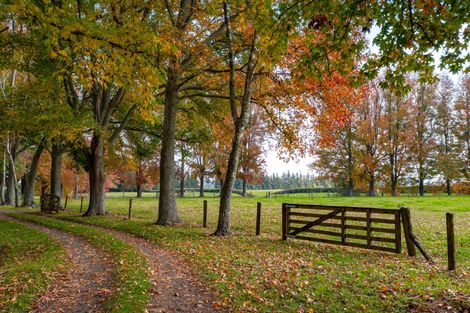 Photo of property in 64 Peacockes Lane, Peacocke, Hamilton, 3282