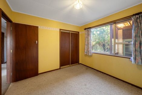 Photo of property in 14 Arnott Street, Alexandra, 9320