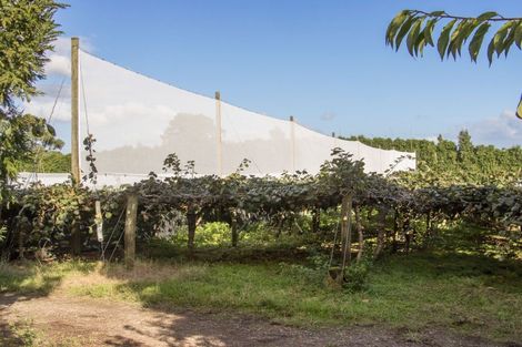 Photo of property in 416 State Highway 2, Tahawai, Katikati, 3170