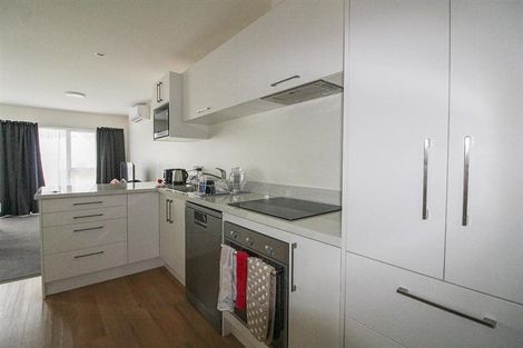 Photo of property in 377 Leith Street, North Dunedin, Dunedin, 9016