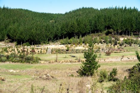 Photo of property in 96 Sunridge Park Road, Morrinsville, 3375