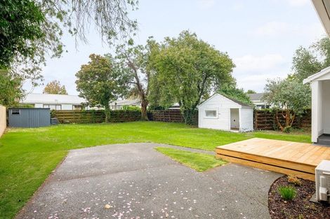 Photo of property in 56 Alfred Street, Fairfield, Hamilton, 3214