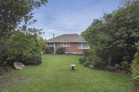 Photo of property in 416 Don Buck Road, Massey, Auckland, 0614