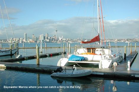Photo of property in 109a Norwood Road, Bayswater, Auckland, 0622