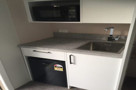 Photo of property in 17 Palm Avenue, Lyall Bay, Wellington, 6022