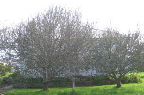 Photo of property in 14 Churchill Street, Dargaville, 0310
