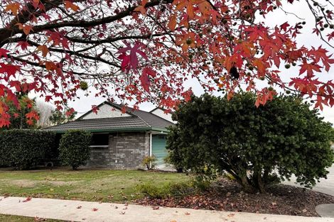 Photo of property in 10 Tudor Grove, Feilding, 4702