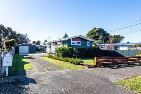 Photo of property in 133 Cockburn Street, Kuripuni, Masterton, 5810