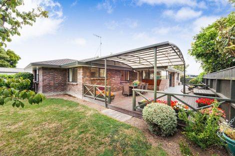 Photo of property in 123 Amberley Avenue, Highbury, Palmerston North, 4412