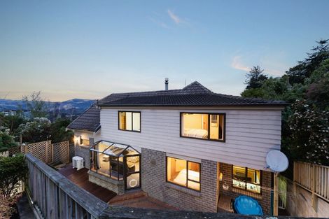 Photo of property in 62 Sligo Terrace, Roslyn, Dunedin, 9010