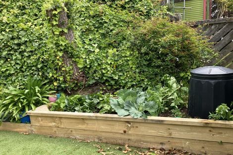 Photo of property in 52f4 Kelburn Parade, Kelburn, Wellington, 6012