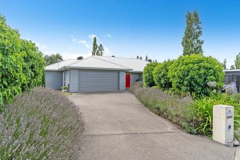 Photo of property in 10 Prendiville Lane, Greytown, 5712