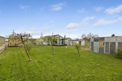 Photo of property in 31 Swansea Street, Middlemarch, 9597