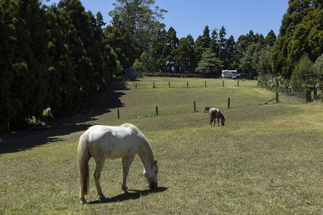 Photo of property in 41 Te Ra Road, Kaeo, Kerikeri, 0295