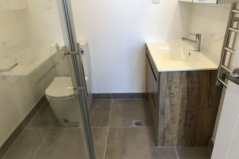 Photo of property in 162 Squadron Drive, Hobsonville, Auckland, 0616