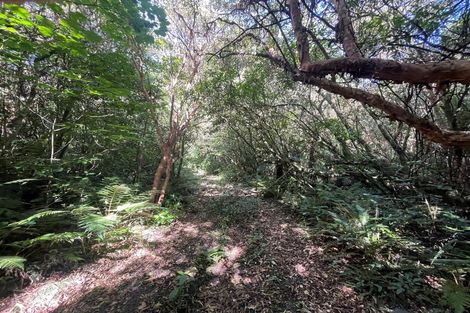 Photo of property in 28 Patmos Avenue, Woodhaugh, Dunedin, 9010