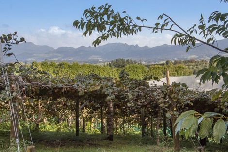 Photo of property in 416 State Highway 2, Tahawai, Katikati, 3170