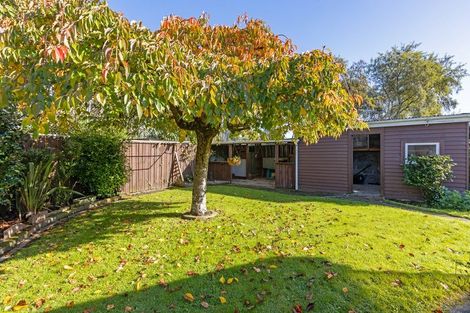 Photo of property in 18 Bannister Court, Masterton, 5810