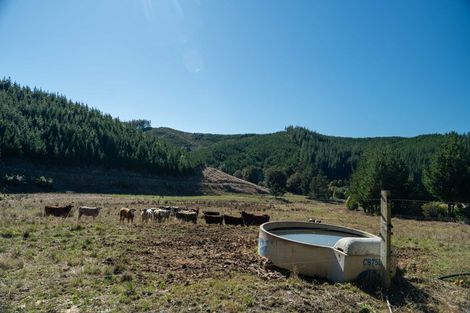 Photo of property in 96 Sunridge Park Road, Morrinsville, 3375