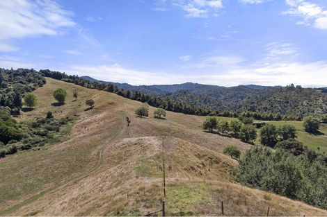 Photo of property in 521a Kauaeranga Valley Road, Thames, 3577