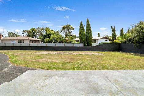 Photo of property in 15 Miles Place, Awapuni, Palmerston North, 4412
