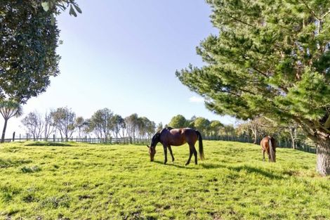 Photo of property in 69 Pipitiwai Drive, Helensville, Kaukapakapa, 0871