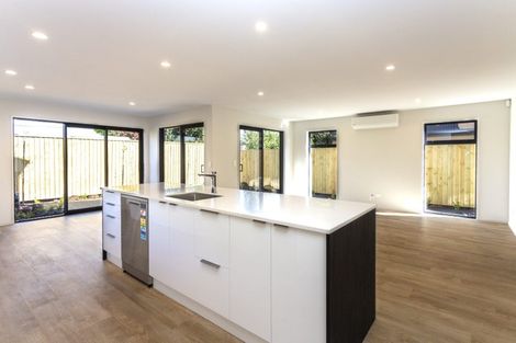Photo of property in 41 Albany Street, St Albans, Christchurch, 8014