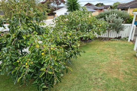 Photo of property in 20 Arahoe Road, New Lynn, Auckland, 0600