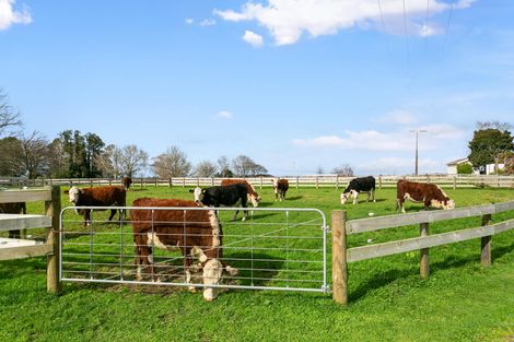 Photo of property in 382 Peria Road, Matamata, 3472