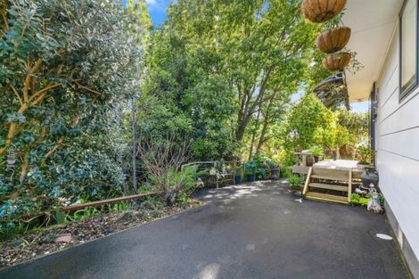 Photo of property in 33 Coopers Road, Gate Pa, Tauranga, 3112