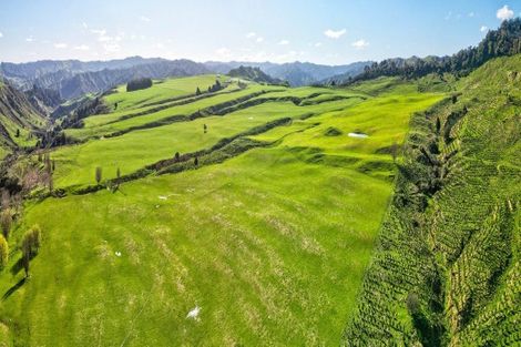 Photo of property in 918 Makakaho Road, Ngamatapouri, 4588