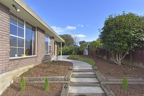 Photo of property in 18 Studholme Street, Somerfield, Christchurch, 8024