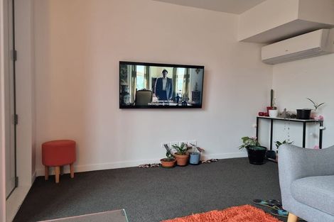 Photo of property in 24u9 Princess Terrace, Newtown, Wellington, 6021