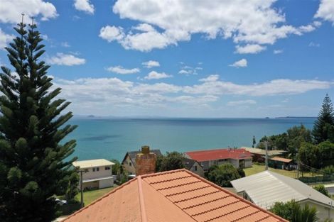 Photo of property in 93 Town Point Road, Maketu, 3189