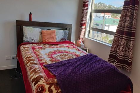 Photo of property in 24u9 Princess Terrace, Newtown, Wellington, 6021